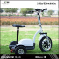 Scooter Elétrico Adulto 3 Rodas